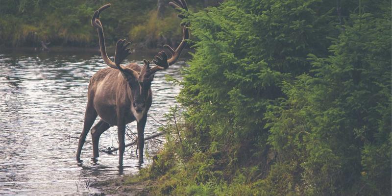 学运通：从基础到卓越，解锁教育培训与学业规划的进阶之道