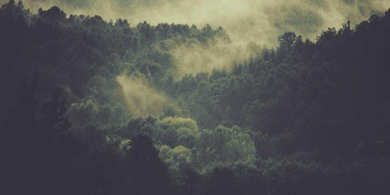 学运通深度解析：家庭教育与学校教育的协同规划策略，打造孩子成长双引擎