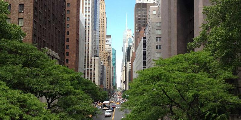 学运通解析：新高考改革下，学业规划必须提前布局的三大核心领域