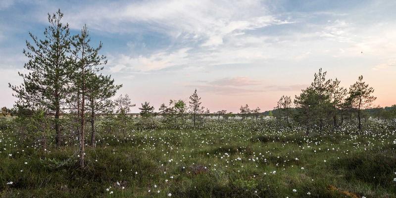 学运通解读：2024年教育培训与学业规划三大核心趋势